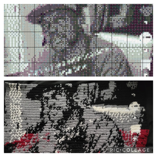 Custom Crochet Portrait/Photo Requests.
