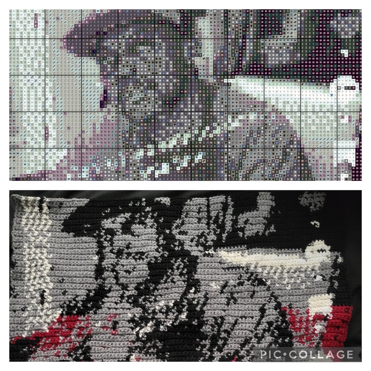 Custom Crochet Portrait/Photo Requests.
